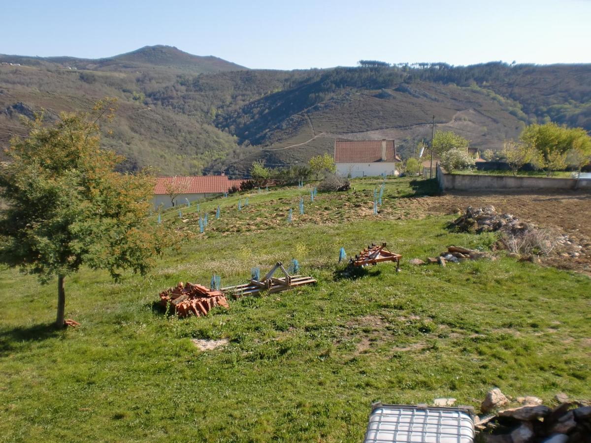 Casa Do Canto Macedo de Cavaleiros Εξωτερικό φωτογραφία